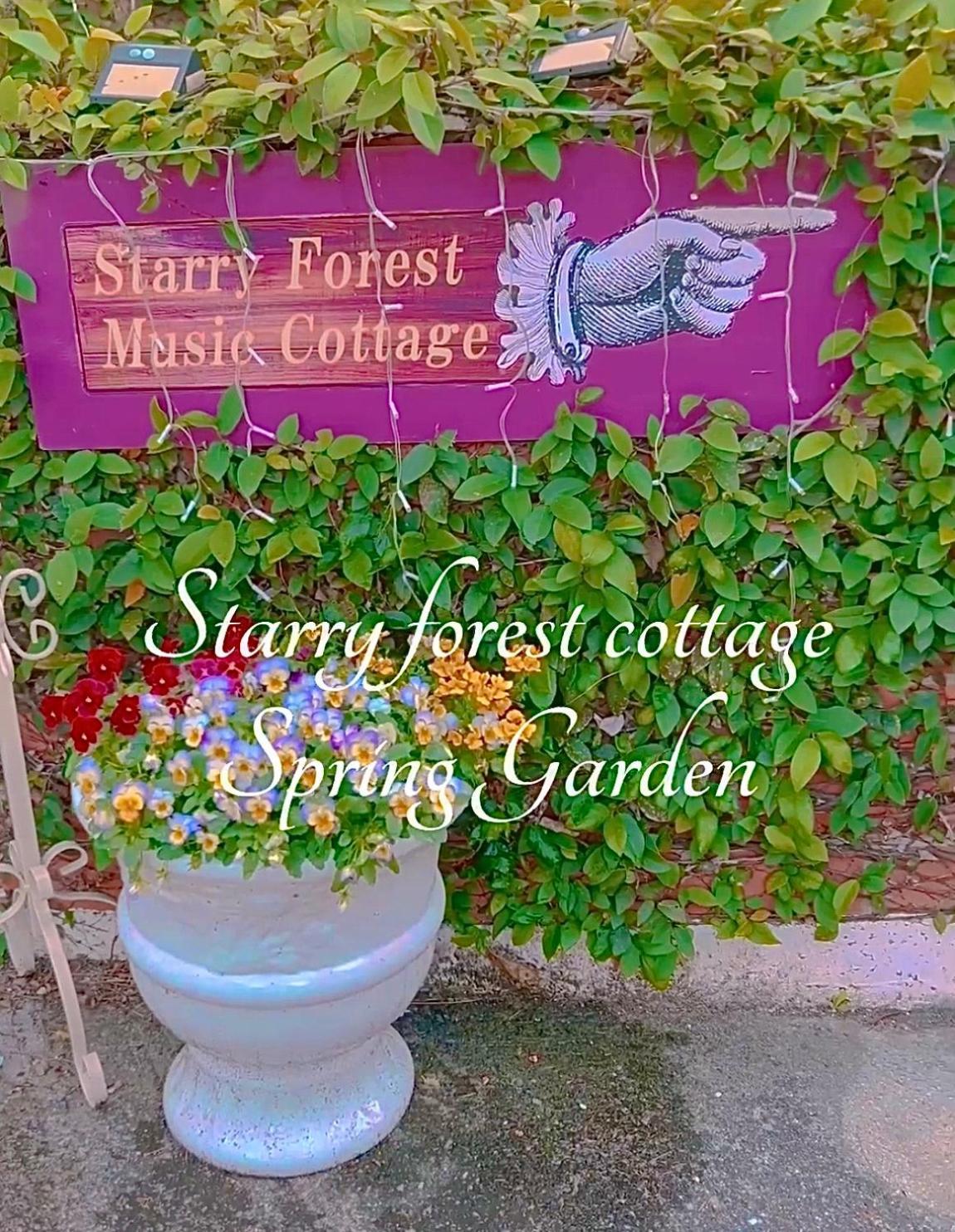 Cats,Piano & Starry Sky Resort Garden -Starry Forest Cottage Okinawa- Онна Екстер'єр фото