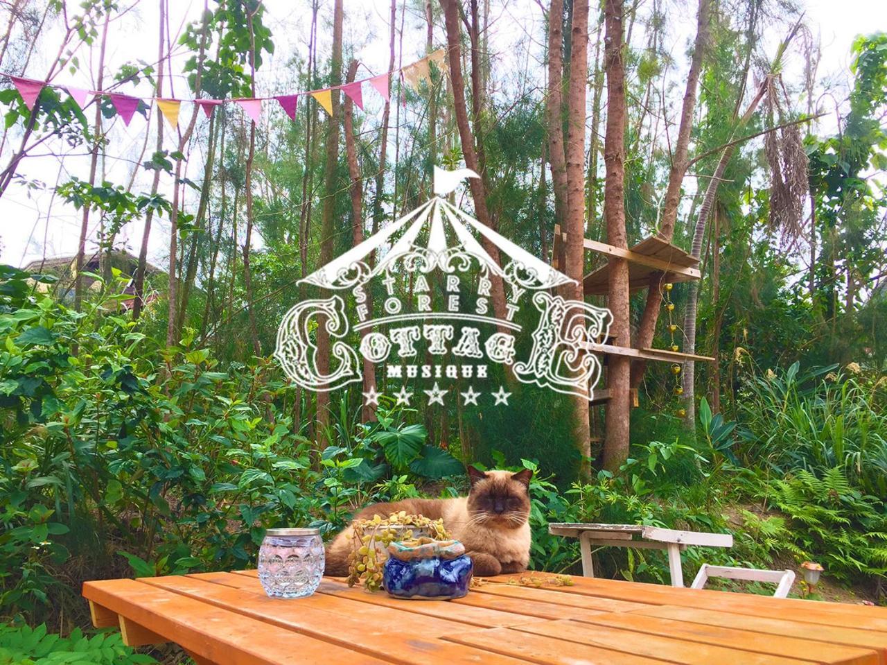 Cats,Piano & Starry Sky Resort Garden -Starry Forest Cottage Okinawa- Онна Екстер'єр фото
